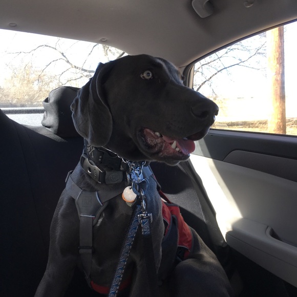 Meet your Posher,Jami,Beulah is my Grandma/Momma❤️ - Picture 1 of 8